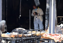 “Живите газеа да излезат надвор, мртвите ги положувавме на паркинг“