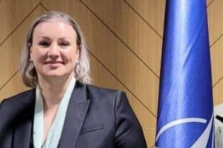Елфете Исмаили од Алијанса на Таравари поднесе оставка од функцијата заменик-министер за одбрана