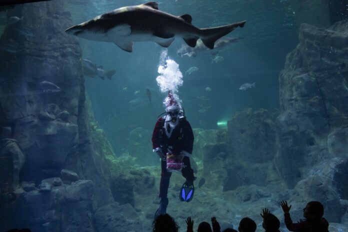 Santa Claus in Istanbul Aquarium