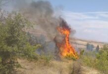 ЦУК: Од регистрирани осум пожари на отворен простор, активни се два – во „Јасен“ и во село Калдирец на планината Китка