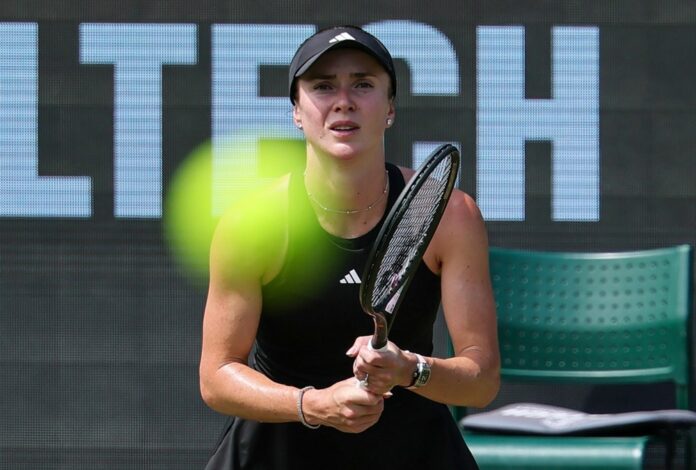 Bad Homburg Open tennis tournament