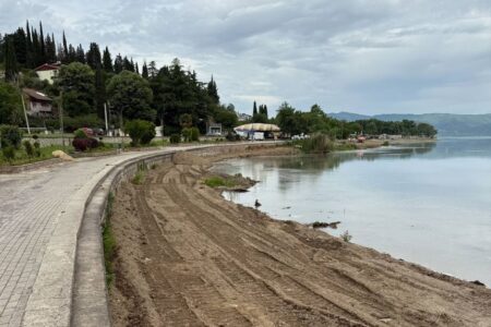 На Дојранското и на Преспанското Езеро им се заканува еколошка катастрофа