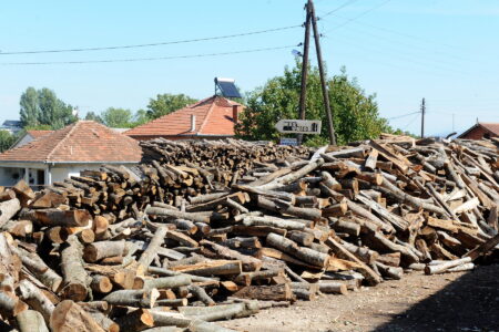 Сечачи, дотурачи, редачи и шумари, место на терен во канцеларија