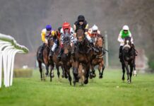 Почина големиот шампион