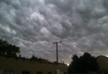 Невреме во Скопје: Силниот ветер урна покрив на зграда и дрво, а предизвика и пожари