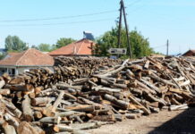 Лишени од слобода 15 лица, меѓу кои има вработени во МВР, ЈП Национални шуми, МЗШВ, кои со пустошење шуми предизвикале штета од над 100 милиони евра