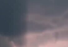 Силно невреме го погоди Белград, обилни врнежи од дожд и силни ветрови и во други делови од Србија/видео