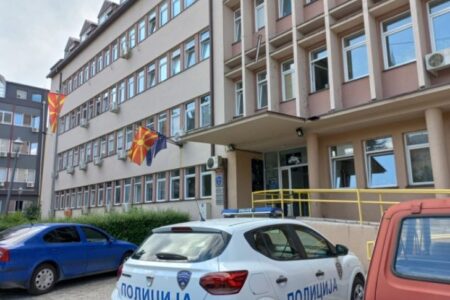Ова се сите пријави со кои жртвата Росица го пријавувала насилството од Илија во полициска станица