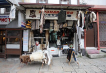 Ги нема папуџијата, крзнарот, казанџијата…