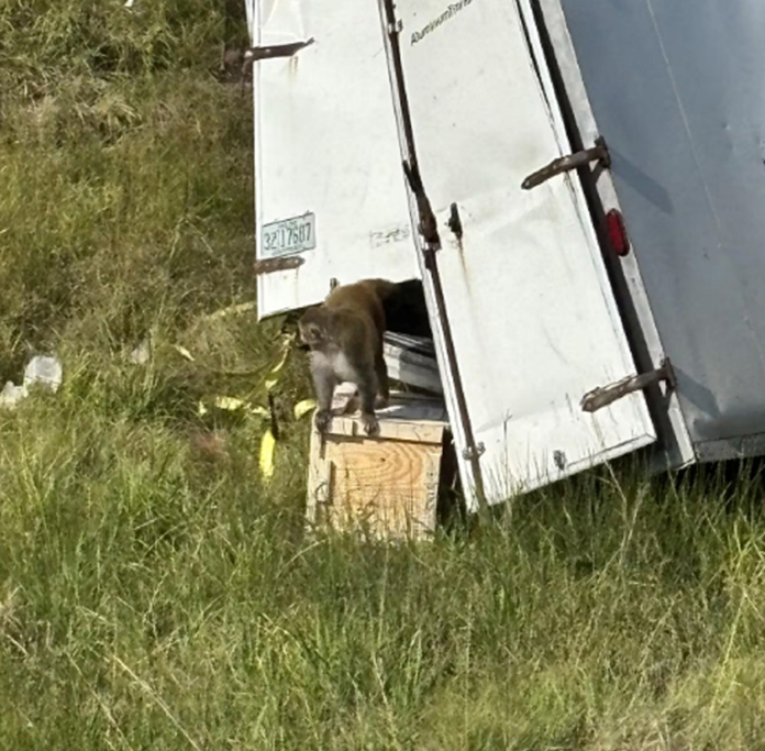 03e4b942-bcff-4e4b-afa3-86b02562dc0c