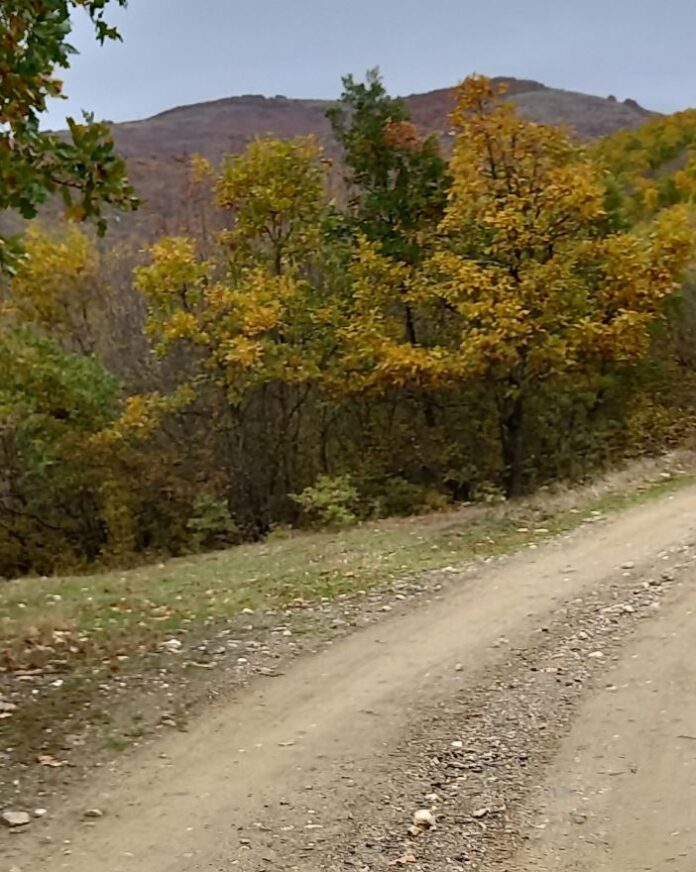 3-ubavinite na skopska crna gora