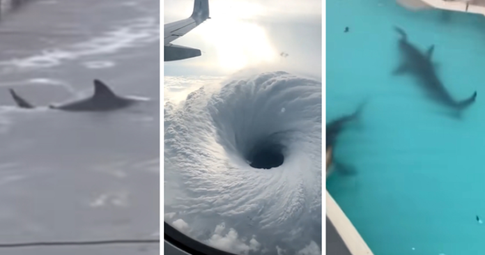 bff61b90-6a80-4edd-a184-fd78b15033ce