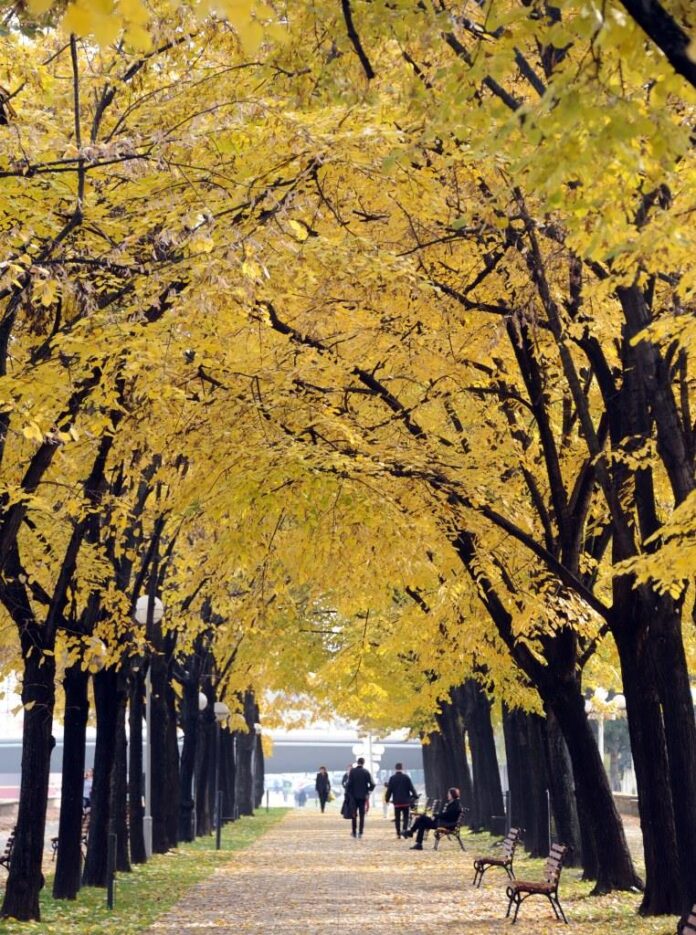 esen nasha foto park