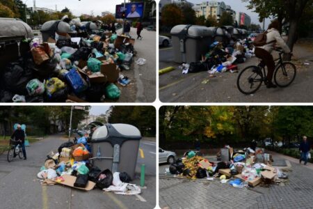 Од ѓубре до лисици – чистка во „Комунална хигиена“, приведен директорот и уште еден раководител