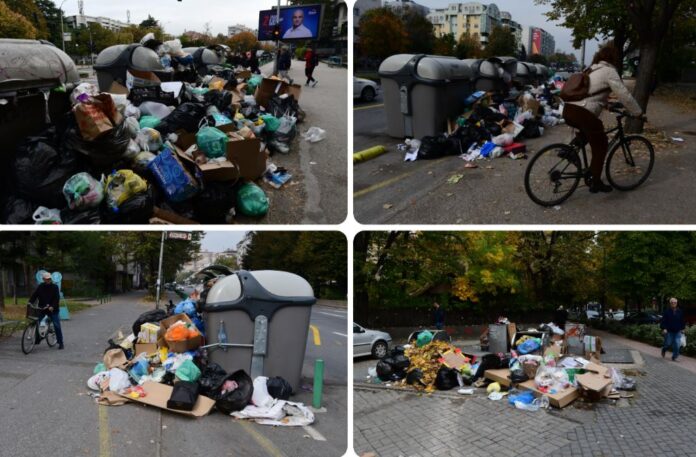 gjubre kolaz pero_211836