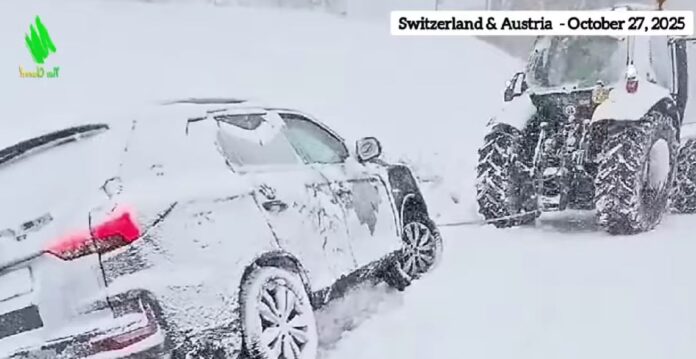 oktsneg krop youtube