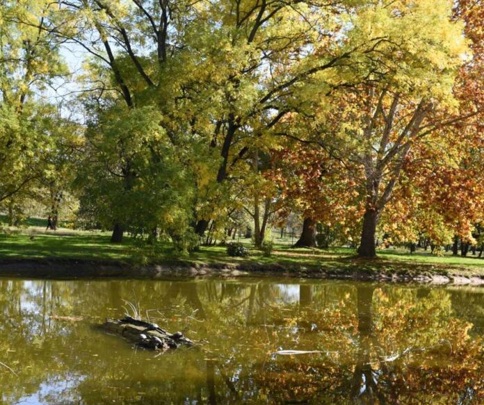 park joto zelki2