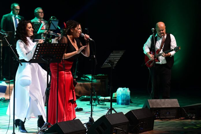 viber_image_2025-10-31_21-33-51-000