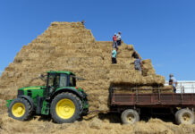 Наместо по нивите, земјоделците влегоа во политички партии
