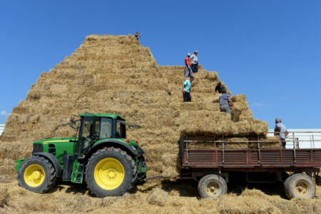 Наместо по нивите, земјоделците влегоа во политички партии
