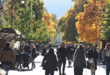 Реформите замрзнати – економскиот мотор на празен погон