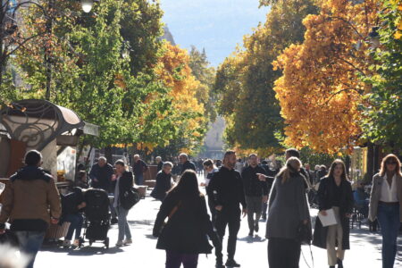 Реформите замрзнати – економскиот мотор на празен погон