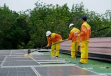 За четири години, во Македонија се отворени 400 зелени работни места