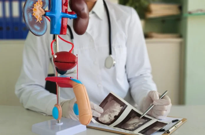 183896_shutterstock-2583377137_f