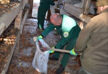 Пошумен локалитетот „Брана“