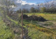 Отворен пункт за фрлање органски отпад