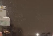 Првиот снег во Белгија направи метеж на повеќе од 500 километри патишта