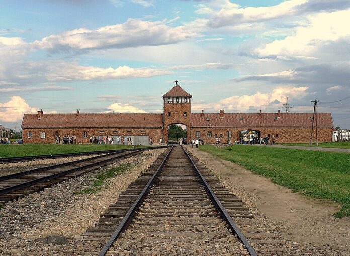 Auschwitz_(10901104645)
