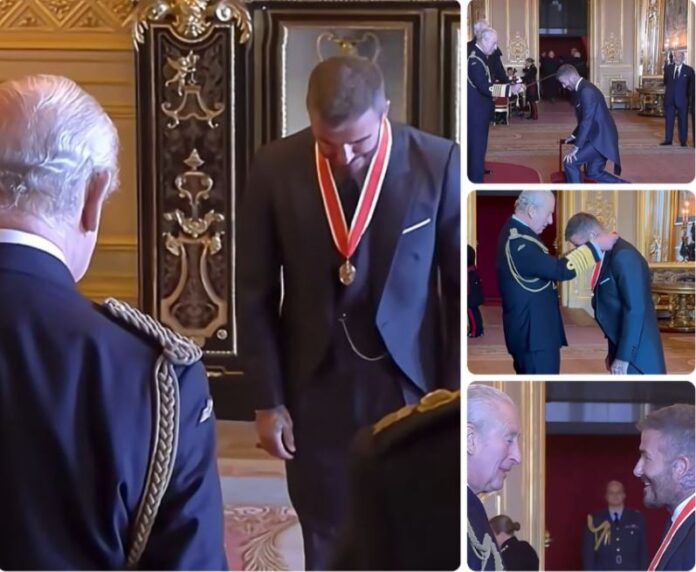 bekam sir kral video kolaz