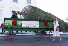 Долгогодишна традиција продолжи: Меланија Трамп, ја пречека божиќната елка во Белата куќа – празничната сезона официјално е започната