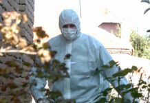 Птичји грип во регионот – нема место за паника ако сте внимателни!