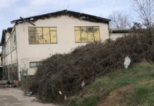 Нема притвор за инспекторот што му пишувал на газдата на „Пулс“ да има „ок“ каса и тетратка