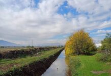 Се чисти каналската мрежа во општина Илинден