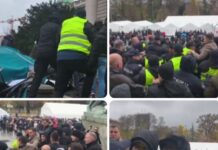 Инцидент пред Собранието во Белград: Тепачка меѓу пратеници од опозицијата и луѓето од „Ќациленд“/ВИДЕО