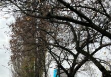 „Сите очи вперени кон судот – ве гледаме“: Герила-акција на „Кој е Следен?“ пред денешното рочиште за пожарот во Пулс