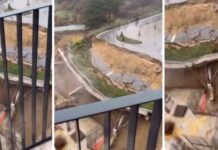 Инвеститорот немал градежна дозвола за зградата во изградба што се урна заедно со патот кај Крагуевац