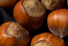 Криза на пазарот на лешници: Цените скокаат, производителите ги кријат залихите