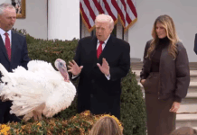 Трамп помилува две мисирки, на шега ги нарече Ненси Пелоси и Чак Шумер