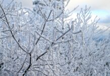 Есенската идила нема да трае долго, вистинската зима ја очекуваме на крајот на месецов!