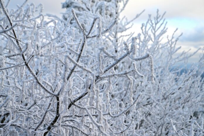 Winter in Poland's Eagle Mountains