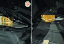 Српски државјанин падна на царина со голема количина на девизи