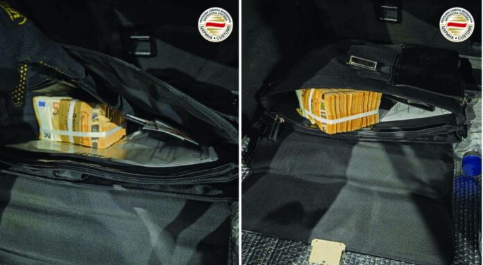 nelegalni devizi carina