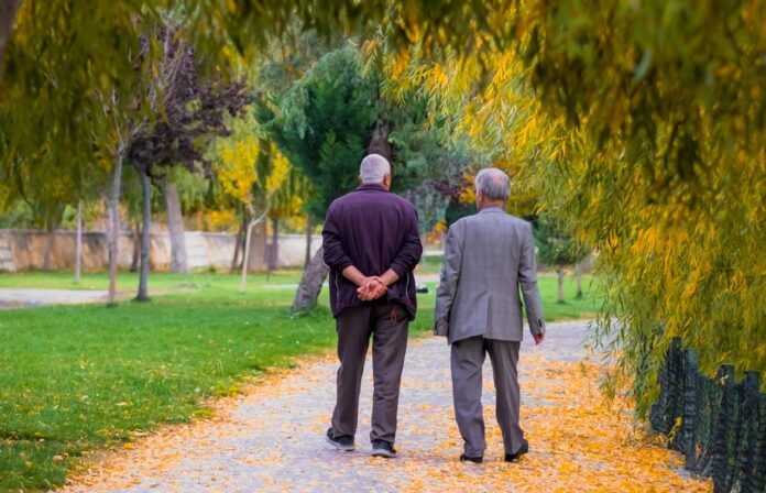 penzioneri-pexels-2-696x448