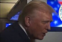 По Трамповото „ќути прасенце“ до новинарката, Белата куќа вели – претседателот е „искрен и транспарентен“