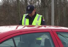 Поголема плата, повисока казна и обратно?! Нов Закон за сообраќајни прекршоци во Србија