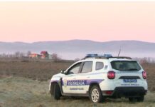 Уапсен осомничен за убиство на жена во Србија: Го криел телото во замрзнувач